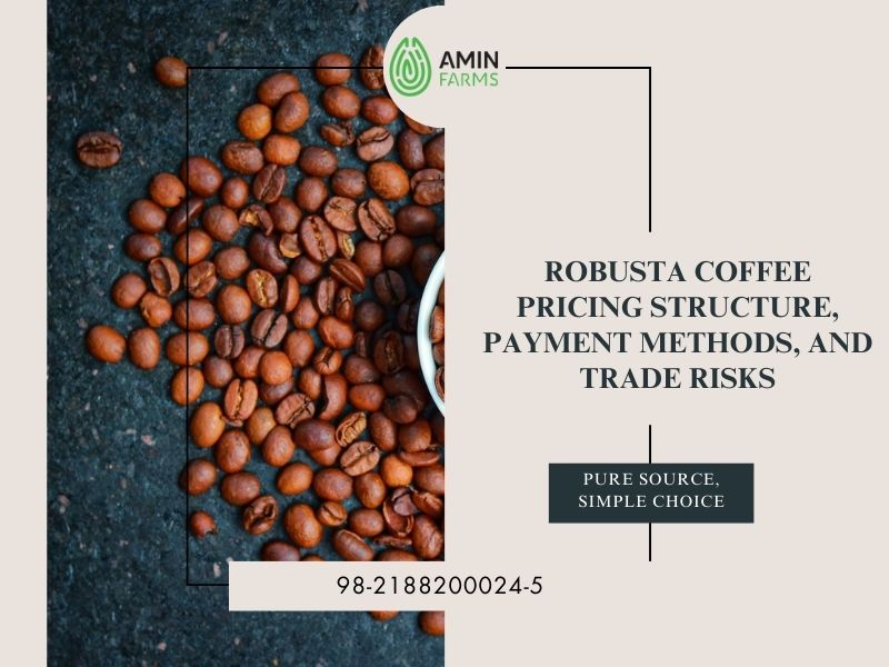 Robusta Coffee Pricing Structure, Payment Methods, and Trade Risks