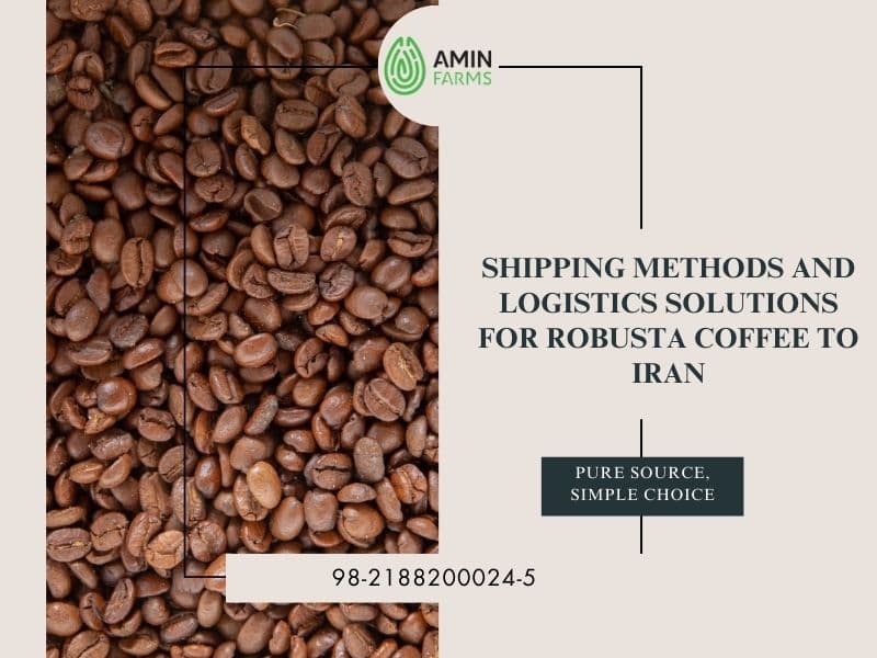 Shipping Methods and Logistics Solutions for Robusta Coffee to Iran