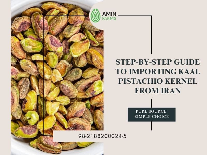 Step-by-Step Guide to Importing Kaal Pistachio Kernel from Iran