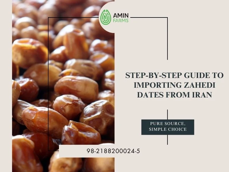 Step-by-Step Guide to Importing Zahedi Dates from Iran