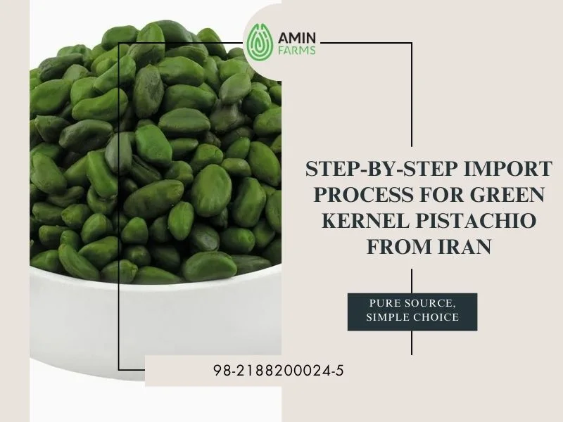 Step-by-Step Import Process for Green Kernel Pistachio from Iran