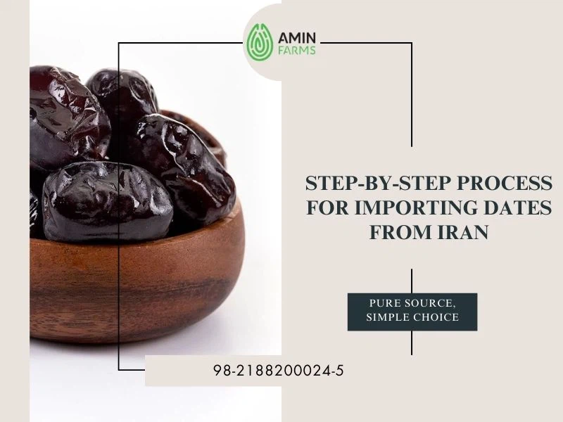 Step-by-Step Process for Importing Dates from Iran
