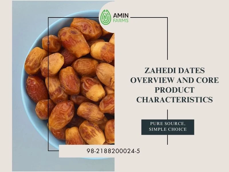 Zahedi Dates Overview and Core Product Characteristics
