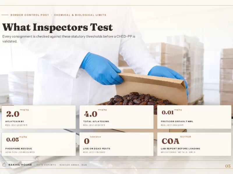 inspection of iranian date